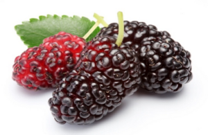 Best 30 Fruits Name - 2024