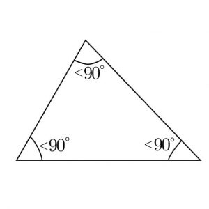 Acute angle triangle in hindi