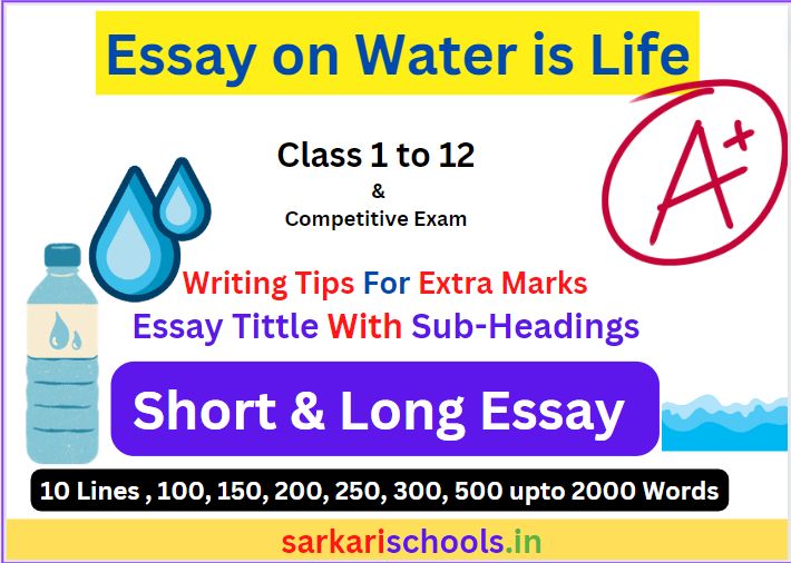 Importance of Water ‘Essay On Water is Life’ & 5 Best Tips To Write essay On Water Is Life