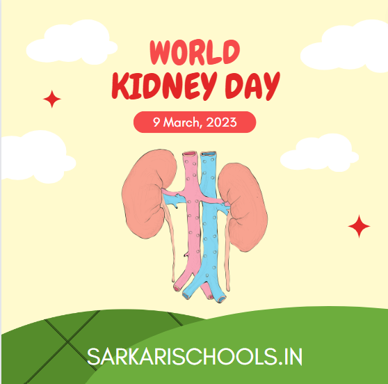 World Kidney Day 2023: Raising Awareness about Kidney Health