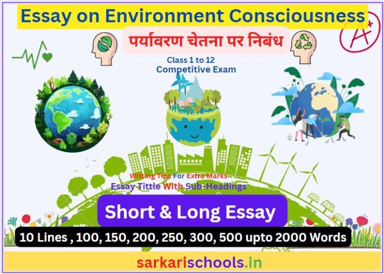 Essay on Environment Consciousness