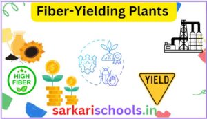 Fiber Yielding Plants