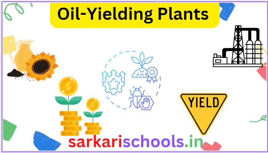 Oil-Yielding Plants of Bihar