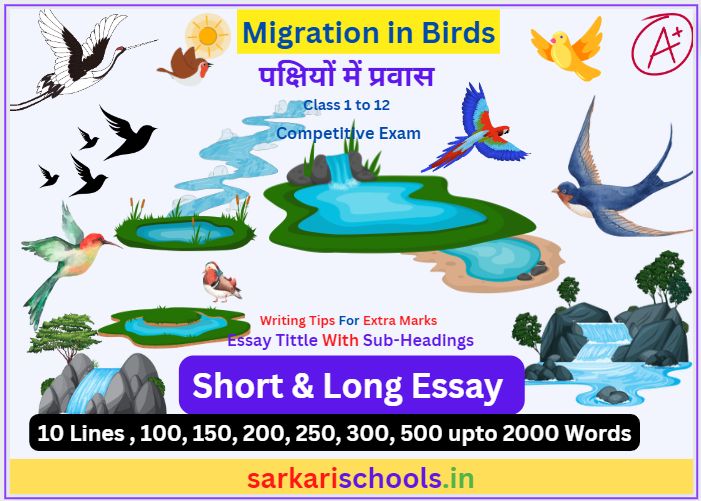 Write An Essay On Migration in Birds